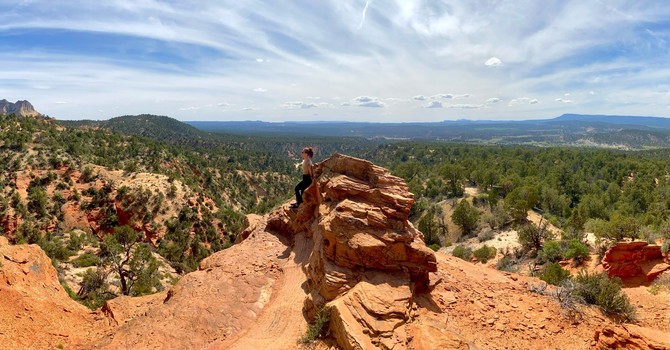 Meet Stephanie George